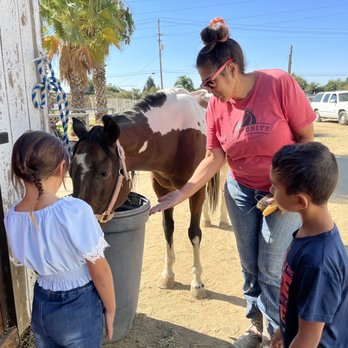 Rising Sun Horseback Riding - Horseback Riding Near Me