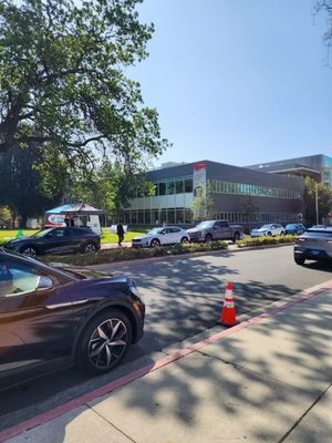 California State University, Northridge by null