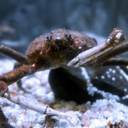 Jenkinson's Aquarium - Jenkinson's Aquarium * Point Pleasant Beach
