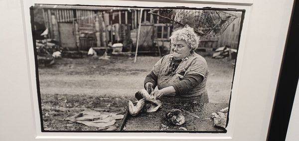 Gaspesie Museum by null