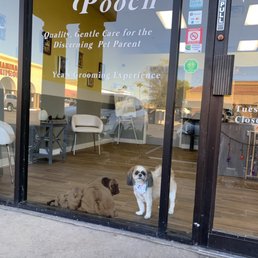 Adorable grooming shop!