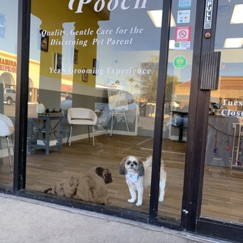 Gucci Pooch - Adorable grooming shop! - Pet Groomers Near Me - Mesa, Arizona