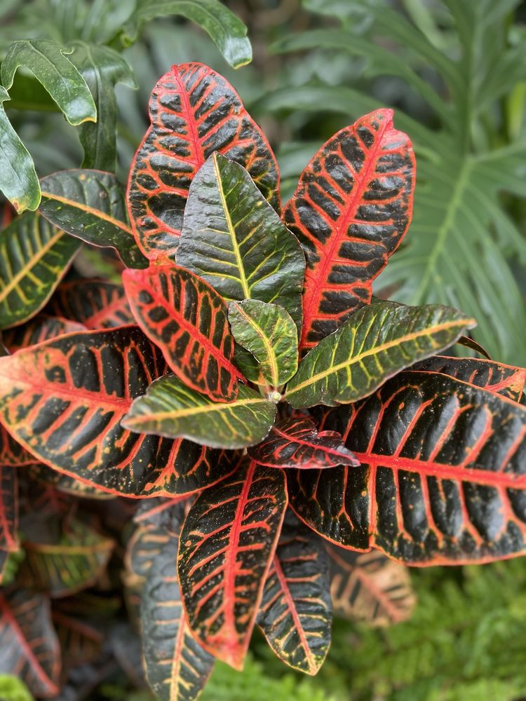 Cleveland Clinic - Beachwood Family Health and Surgery Center