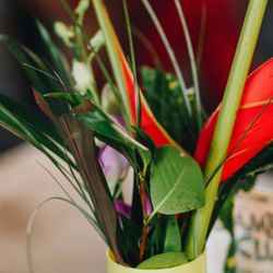 Margaret Rose Floral Design