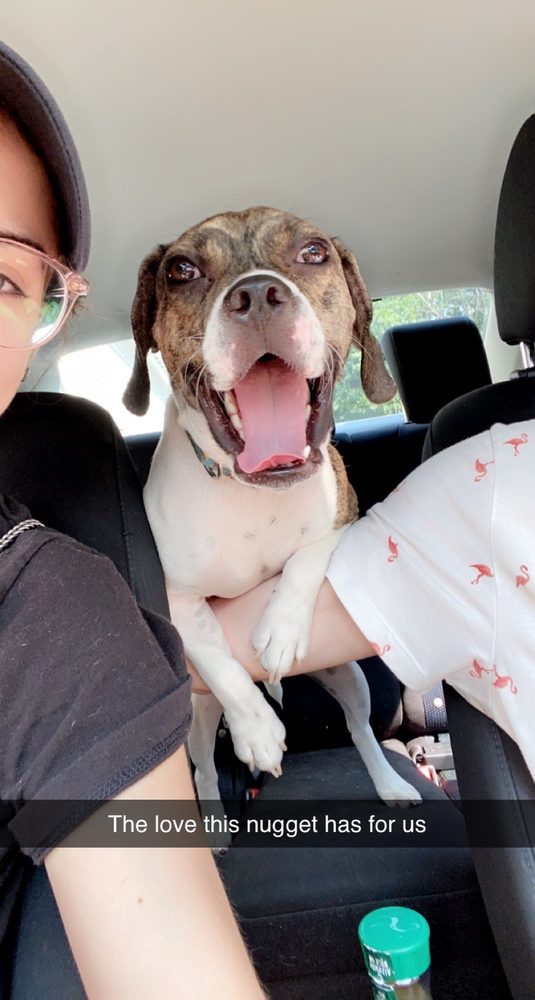 VETERINARY EMERGENCY CENTER MANCHESTER Updated October 2024 36