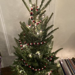 Romp Family Christmas Trees