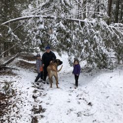 Big Creek Handyman - Wintery walk with the fam