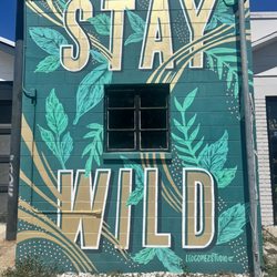 Wild Roots