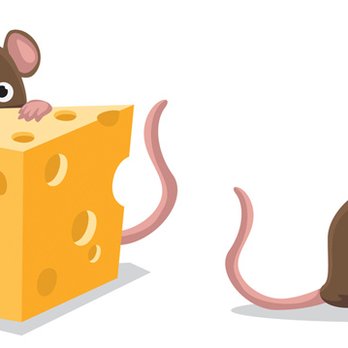 Mighty Men Services - We help homeowners and renters with rodent problems - Wildlife Control Near Me