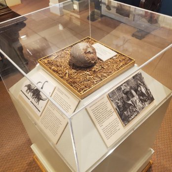 Lightner Museum - Museums Near Me - Saint Augustine, Florida