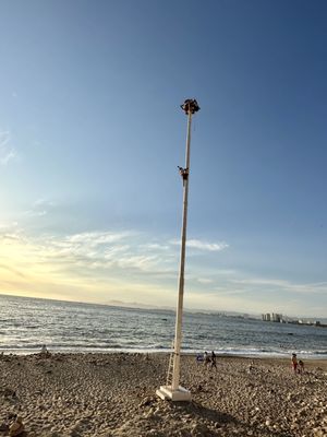 Puerto Vallarta Malecon by null