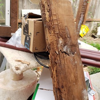 One Sixth Construction - The sil plate damage, felt like paper - Roofing Near Me One Sixth Construction - The sil plate damage, felt like paper - Roofing Near Me