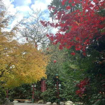 Capilano Suspension Bridge Park - Fall Colors by the entrance - Parks Near Me - North Vancouver, British Columbia