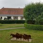 Photo of De 7bergsche Hoeve