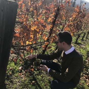 Opus One Winery - Wineries Near Me - Oakville, California