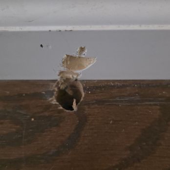 Kensington Electric - A hole in brand new flooring - Electricians Near Me - San Diego, California Kensington Electric - A hole in brand new flooring - Electricians Near Me - San Diego, California