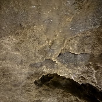 Cave Store - Walking Tours Near Me - La Jolla, California Cave Store - Walking Tours Near Me - La Jolla, California