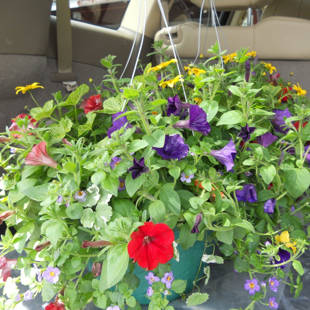 Earth's Art - Pretty pre planted pots at good prices. - Nurseries & Gardening Near Me - Redmond, Oregon