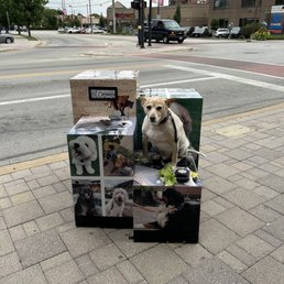 Just walking the dog downtown, getting thirsty.  Thinking of having a beer.....