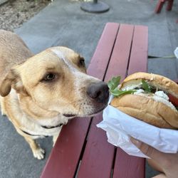 Ames Meat Research