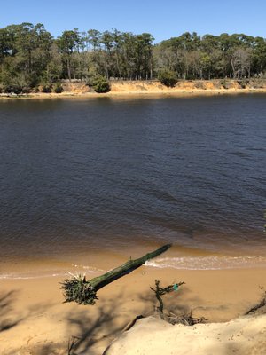 Carolina Beach State Park by null