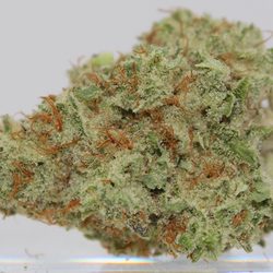 Three Rivers Dispensary Denver - Sour GMO Cookies