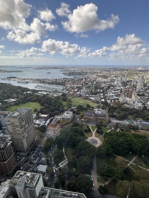 Sydney Tower Eye by null