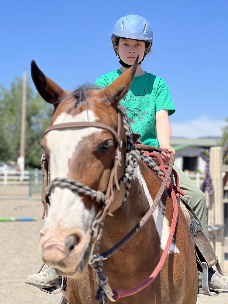 PIPING ROCK HORSES Updated September 2024 176 Photos & 144 Reviews