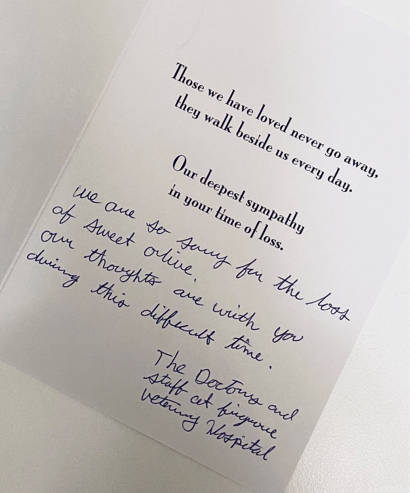 FIRGROVE VETERINARY HOSPITAL Updated October 2024 45 Photos & 105