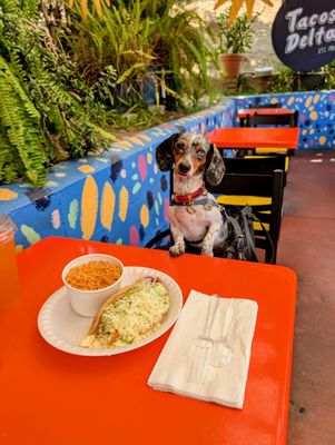 Tacos Delta by null Tacos Delta by null