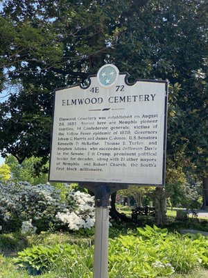 Elmwood Cemetery by null
