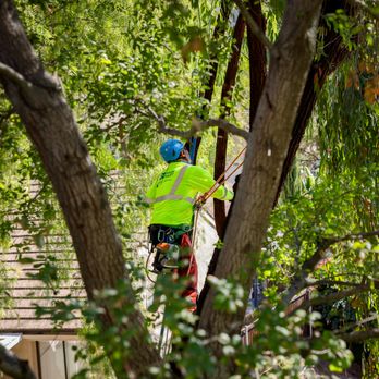 Park West - The tremendous talent of our people sustains the value we place on innovation.
https://www.parkwestinc.com - Landscaping Near Me - Rancho Santa Margarita, California Park West - The tremendous talent of our people sustains the value we place on innovation.
https://www.parkwestinc.com - Landscaping Near Me - Rancho Santa Margarita, California