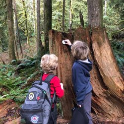 Journey School Lynnwood