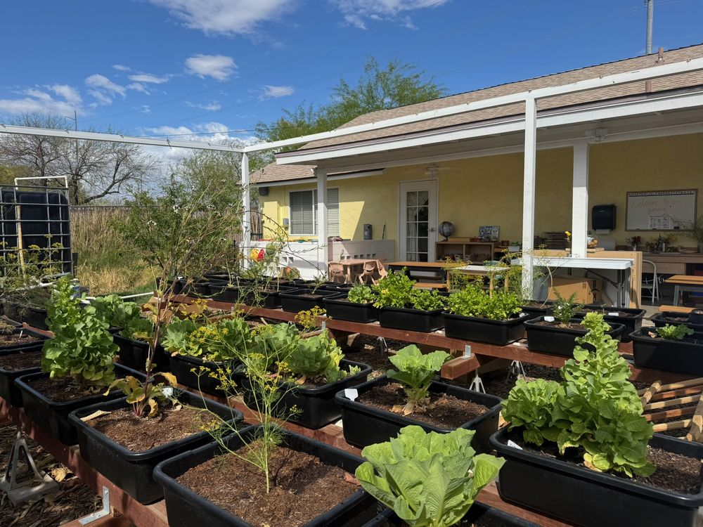 Heritage Montessori School - childcare center in Glendale, AZ