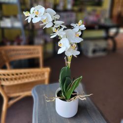 Mildred's Florist and Gifts