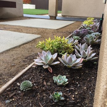 Campos Landscaping - Landscaping Near Me Campos Landscaping - Landscaping Near Me