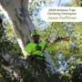 Photo of Arborvision Tree Service