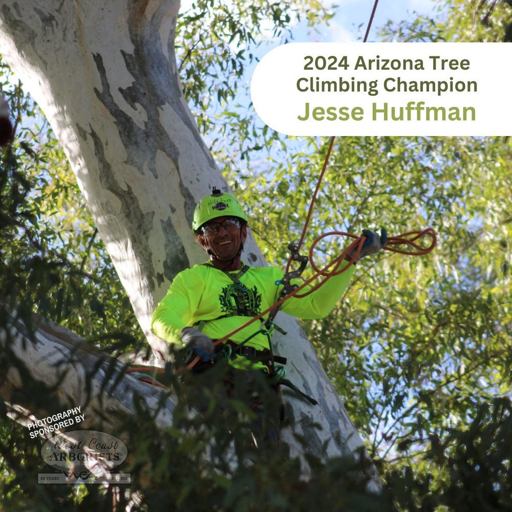 Arborvision Tree Service - tree service in Phoenix, AZ