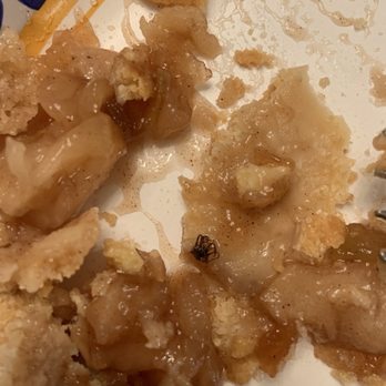 Villa Italia - My apple pie I bought with a spider in it. - Bakeries Near Me - Schenectady, New York Villa Italia - My apple pie I bought with a spider in it. - Bakeries Near Me - Schenectady, New York