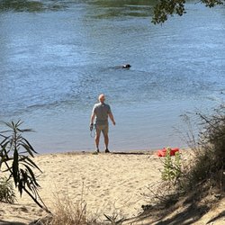Off leash dogs at the park