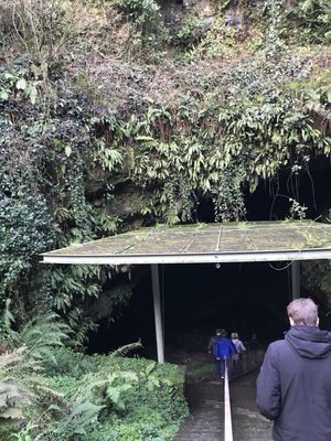 Dunmore Cave by null