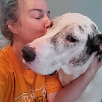 Ravenpaw Creature Care - Meet my deaf great dane, Narcissa! - Pet Sitting Near Me Ravenpaw Creature Care - Meet my deaf great dane, Narcissa! - Pet Sitting Near Me