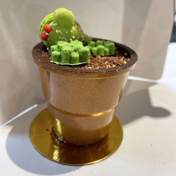 Daan Go Cake Lab - Terra - Desserts Near Me - Richmond Hill, Ontario Daan Go Cake Lab - Terra - Desserts Near Me - Richmond Hill, Ontario
