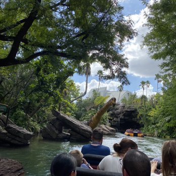Jurassic World VelociCoaster - Amusement Parks Near Me - Orlando, Florida Jurassic World VelociCoaster - Amusement Parks Near Me - Orlando, Florida
