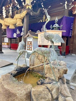 Kushida Shrine by null