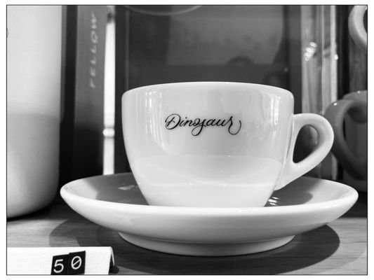 Dinosaur Coffee by null
