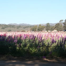 River Park - River Park Lompoc California