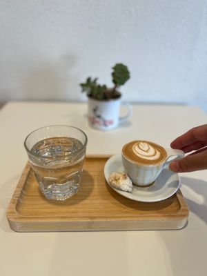 Flor and Seed Coffee Roasters by null