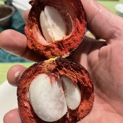 Farmers Market - First time trying Mangosteens. I loved it.