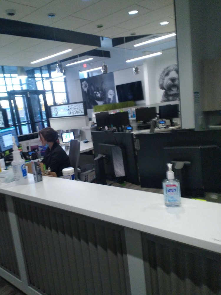 ANIMAL EMERGENCY AND SPECIALTY HOSPITAL OF BYRON CENTER 6820 Edgeview